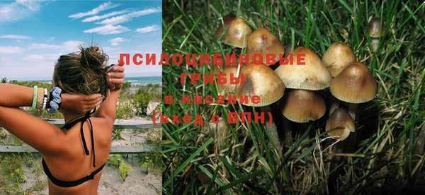 MESCALINE Сясьстрой